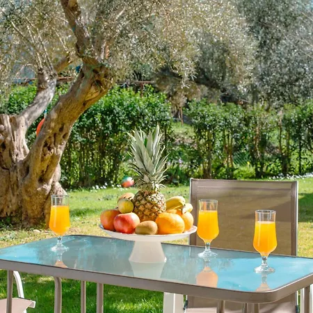 Olia B Apartament *